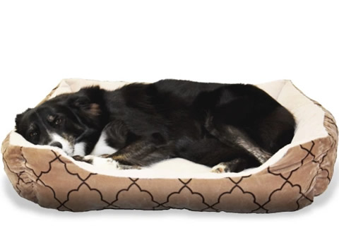 cama para perros